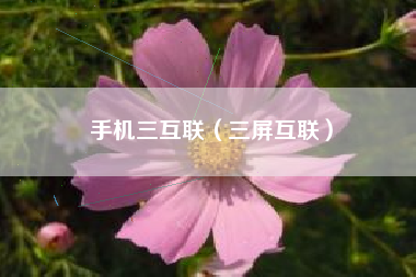 手机三互联（三屏互联）