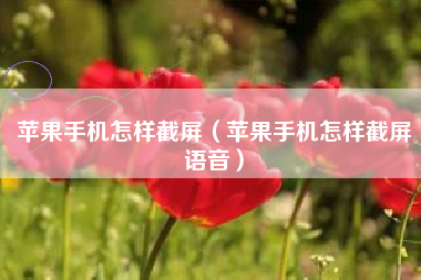 苹果手机怎样截屏（苹果手机怎样截屏语音）