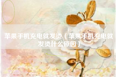 苹果手机充电就发烫（苹果手机充电就发烫什么原因）