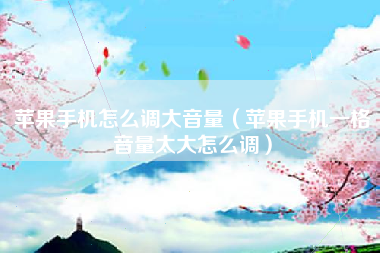 苹果手机怎么调大音量（苹果手机一格音量太大怎么调）
