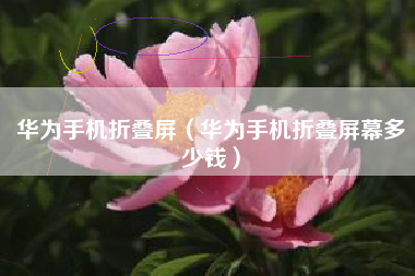 华为手机折叠屏（华为手机折叠屏幕多少钱）