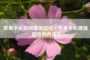 苹果手机如何增强信号（苹果手机增强信号的办法）