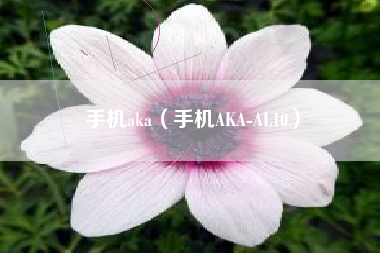 手机aka（手机AKA-AL10）