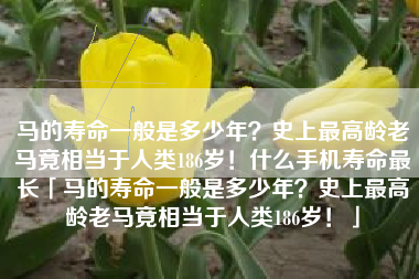 马的寿命一般是多少年？史上最高龄老马竟相当于人类186岁！什么手机寿命最长「马的寿命一般是多少年？史上最高龄老马竟相当于人类186岁！」