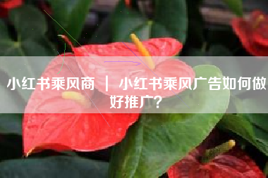 小红书乘风商 ｜ 小红书乘风广告如何做好推广？