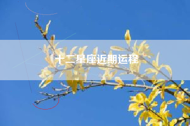 十二星座近期运程