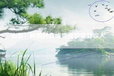 山东：种粮好收成变成农民好收入