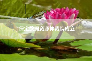 保定数据资源仲裁院成立
