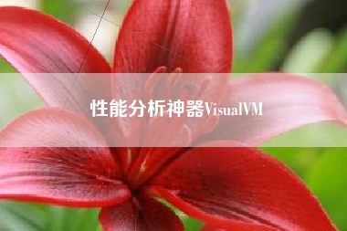 性能分析神器VisualVM