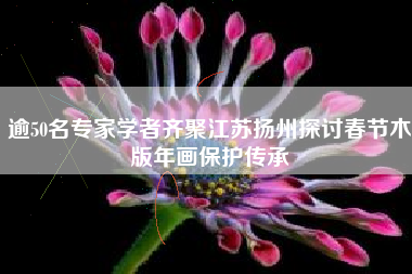 逾50名专家学者齐聚江苏扬州探讨春节木版年画保护传承